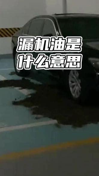 漏是什么意思